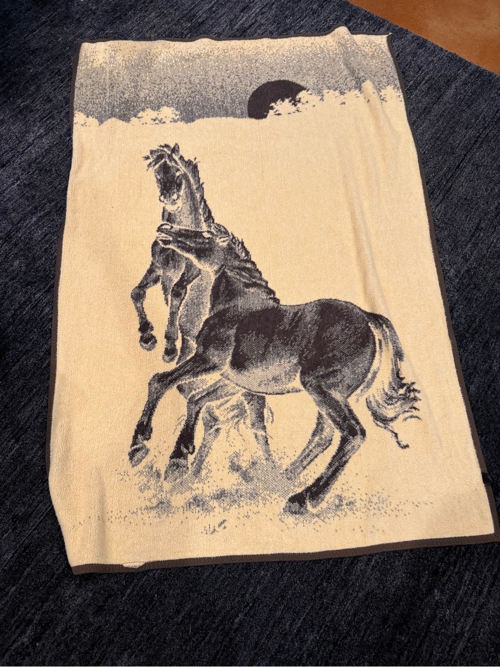 Vintage Reversible Horse Throw Blanket